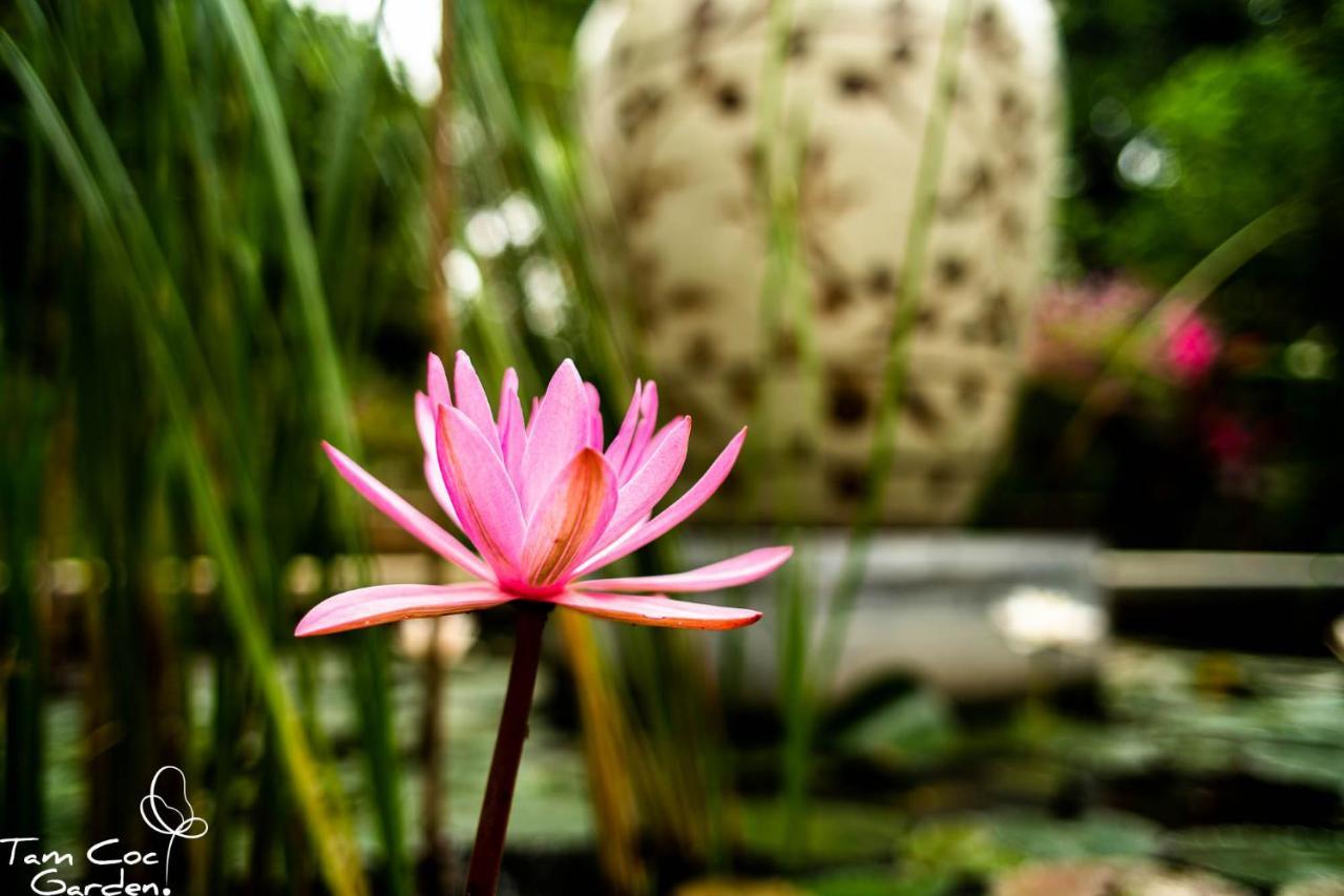 Tam Coc Garden Resort Ninh Binh Exterior photo